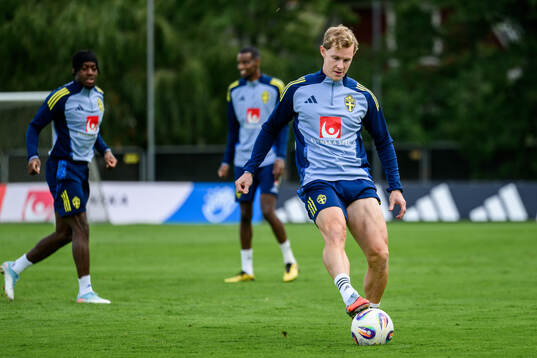 Emil Krafth of the Swedish men's football national team at