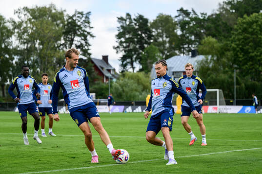 Benjamin Nygren and Jordan Larsson of the Swedish men's