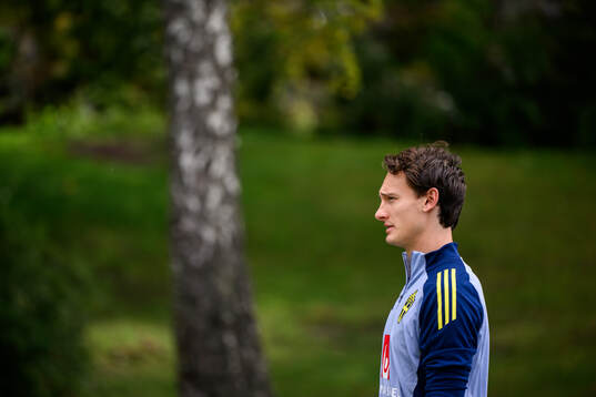 Hjalmar Ekdal of the Swedish men's football national team