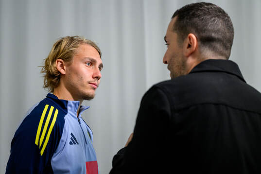 Sebastian Nanasi of the Swedish men's football national team