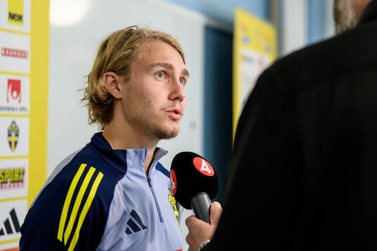 Sebastian Nanasi of the Swedish men's football national team