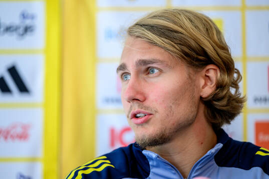 Sebastian Nanasi of the Swedish men's football national team