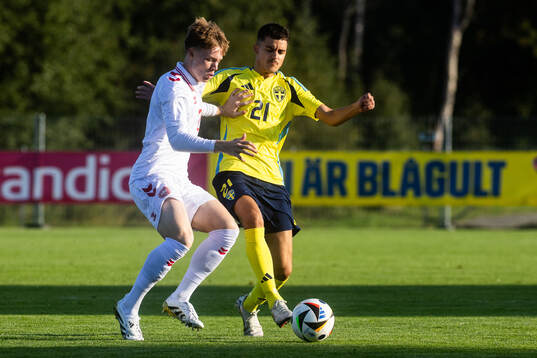 Johan Hvistendahl of Denmark and Milian Öberg of Sweden