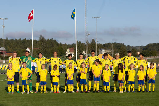 Players of Sweden
