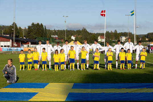 Players of Denmark