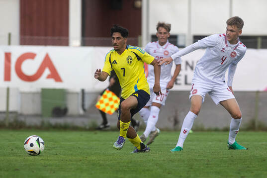 Ahmed Saeed of Sweden and Villads Rutkjaer of Denmark