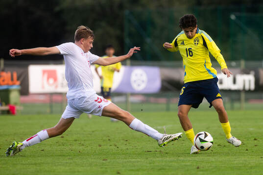 William Nørløv of Denmark and Rayan Demirci of Sweden