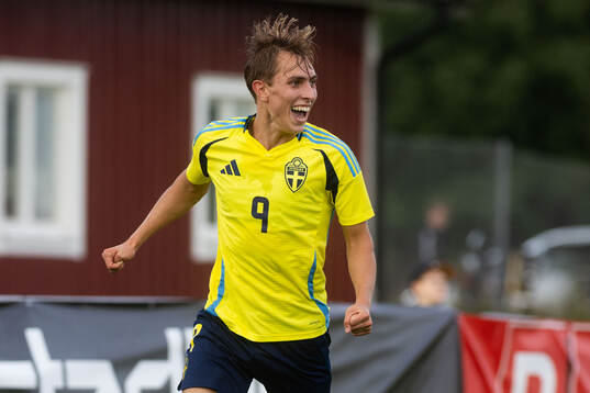 Emil Sadarangani of Sweden celebrates