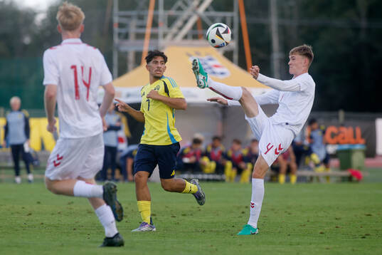 Ahmed Saeed of Sweden and Villads Rutkjaer of Denmark
