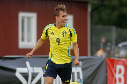Emil Sadarangani of Sweden celebrates