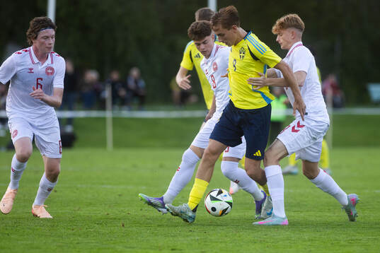 Emil Sadarangani of Sweden