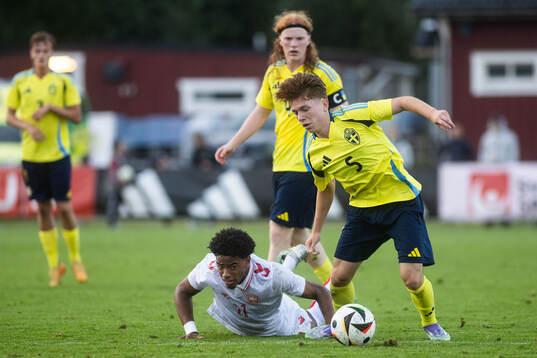 Malik Pimpong of Denmark and Chris Jansson of Sweden