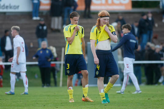 Kevin Andersson Lönnergård and Elvis van der Laan of