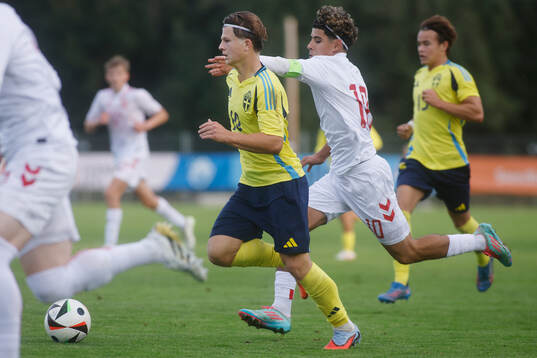 Alex Brönner of Sweden and Ali Al-Najar of Denmark