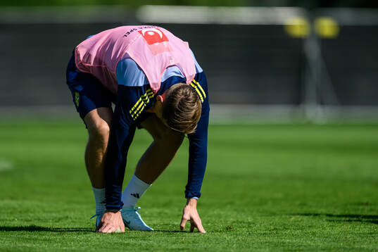 Viktor Gyökeres in pain of the Swedish men's football