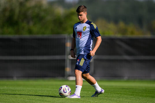 Samuel Dahl of the Swedish men's football national team at