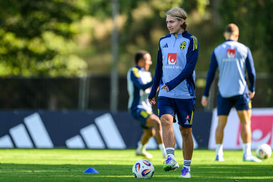 Sebastian Nanasi of the Swedish men's football national