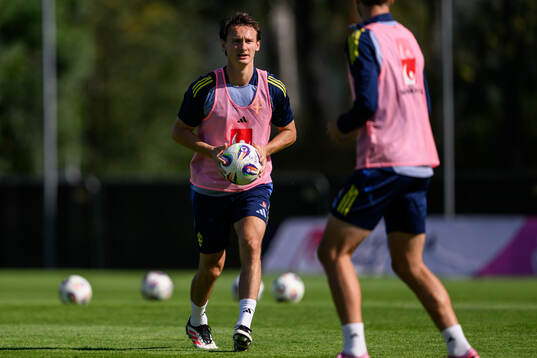Hjalmar Ekdal of the Swedish men's football national team