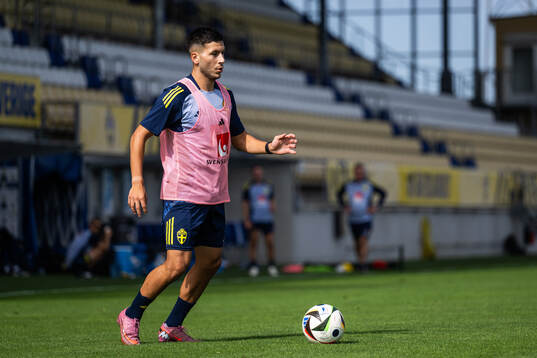 Roony Bardghji of the Swedish under-21 national football