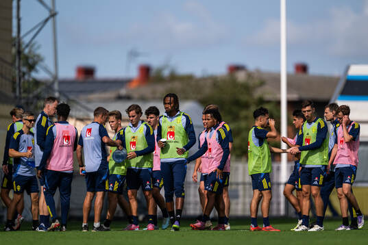 Players of the Swedish under-21 national football team