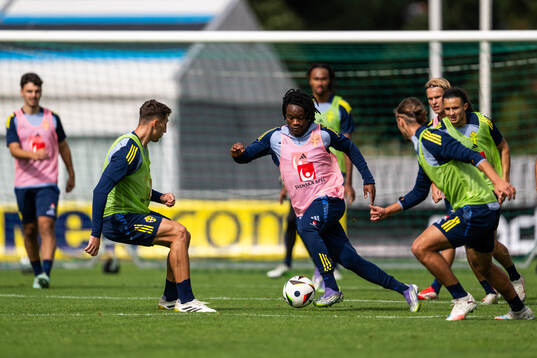 Jeremy Agbonifo of the Swedish under-21 national football