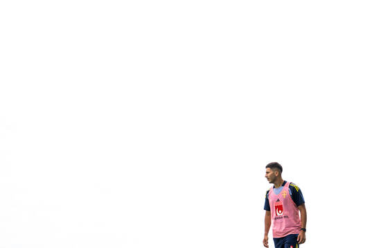 Roony Bardghji of the Swedish under-21 national football
