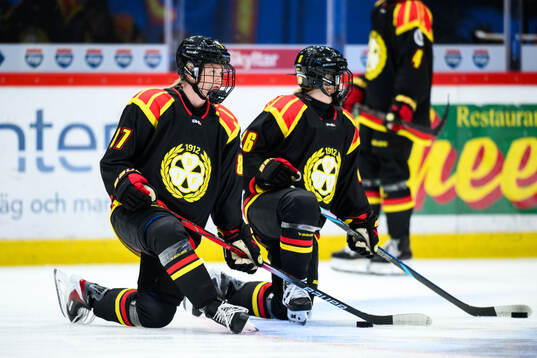 Brynäs Anna Brenkle