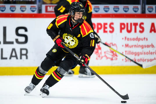 Brynäs Jenniina Nylund