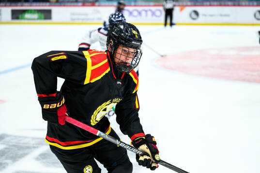 Brynäs Elin Svensson