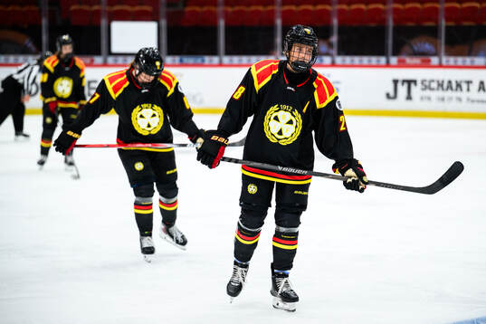 Brynäs Jenny Antonsson