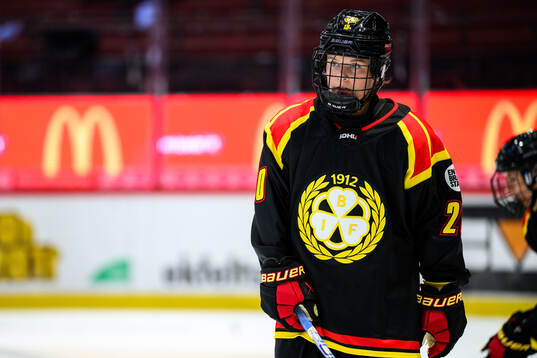 Brynäs Disa Carlsson