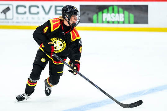 Brynäs Anna Andersson
