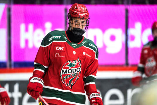 Modos Modos Sanna Halsius innan ishockeymatchen i SDHL