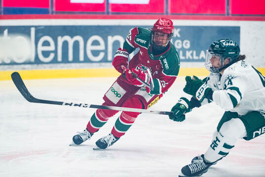 Modos Maja Grundström