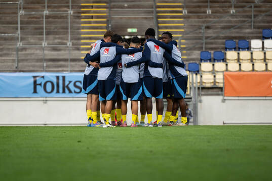 Players of Sweden