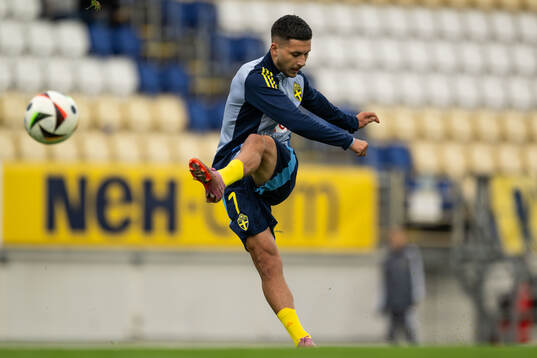Roony Bardghji of Sweden