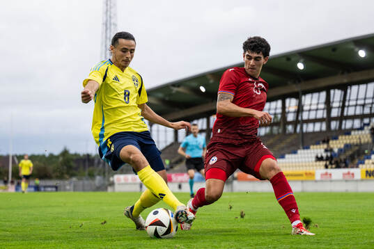 Amin Boudri of Sweden and Hamlet Sargsyan of Armenia