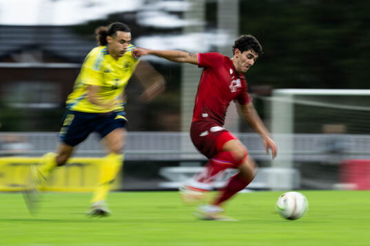 Amin Boudri of Sweden and Hamlet Sargsyan of Armenia