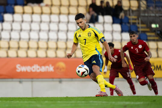 Roony Bardghji of Sweden scores 3-0