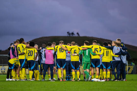 Players of Sweden gather