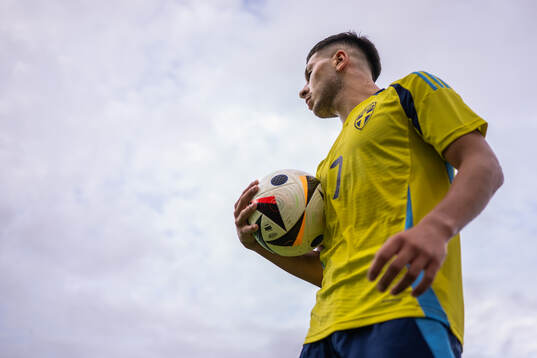 Roony Bardghji of Sweden