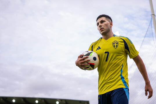 Roony Bardghji of Sweden