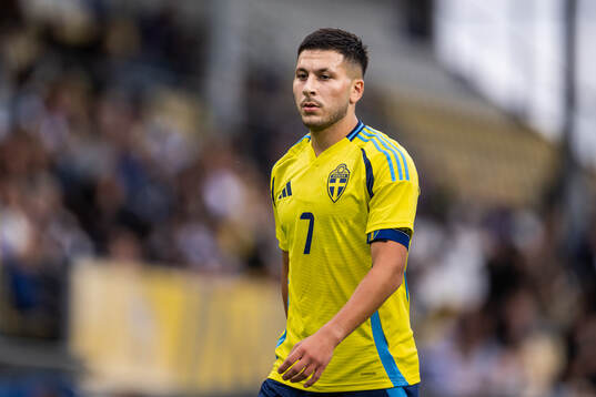Roony Bardghji of Sweden