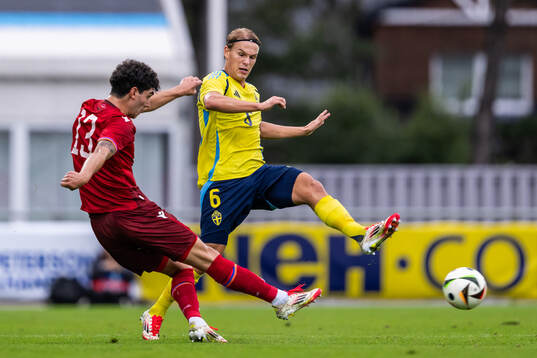 Hamlet Sargsyan of Armenia and Markus Karlsson of Sweden