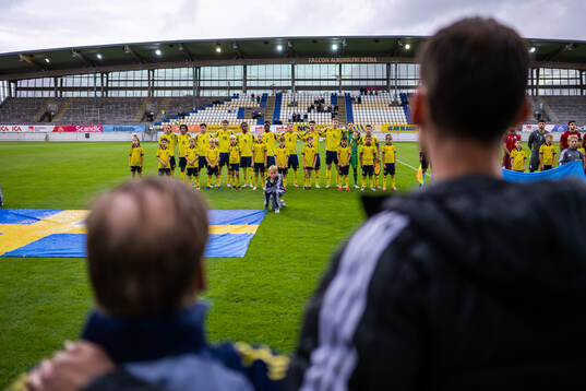 Players of Sweden