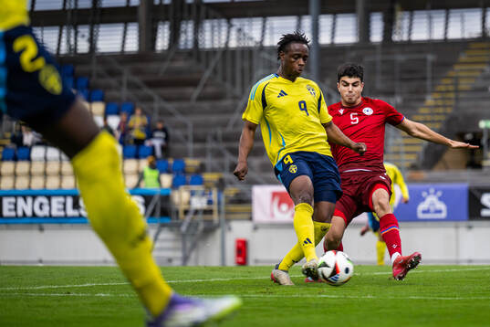 Richie Omorowa of Sweden and Petik Manukyan of Armenia