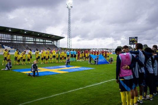 Players of Sweden and of Armenia