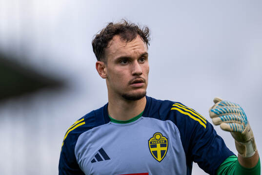 Goalkeeper Elis Bishesari of Sweden