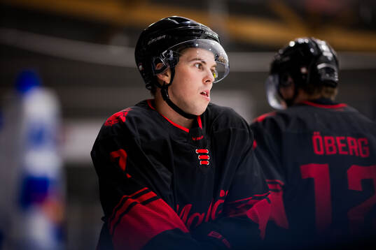 Malmö Redhawks Topi Niemelä