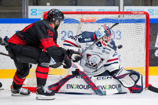 Malmö Redhawks Robin Hanzl och Linköpings målvakt